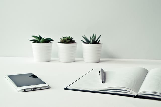 Comment intégrer des plantes pour améliorer l'ergonomie de votre bureau